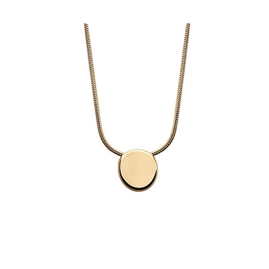 Ladies' Necklace Skagen SKJ1598710